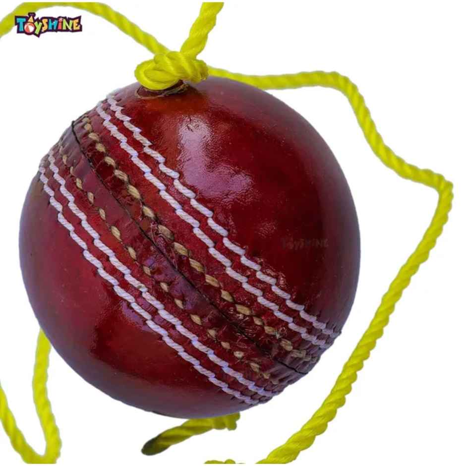 Toyshine Cricket Hanging Ball For Shot Practice, (Leather, Sstp, Red)