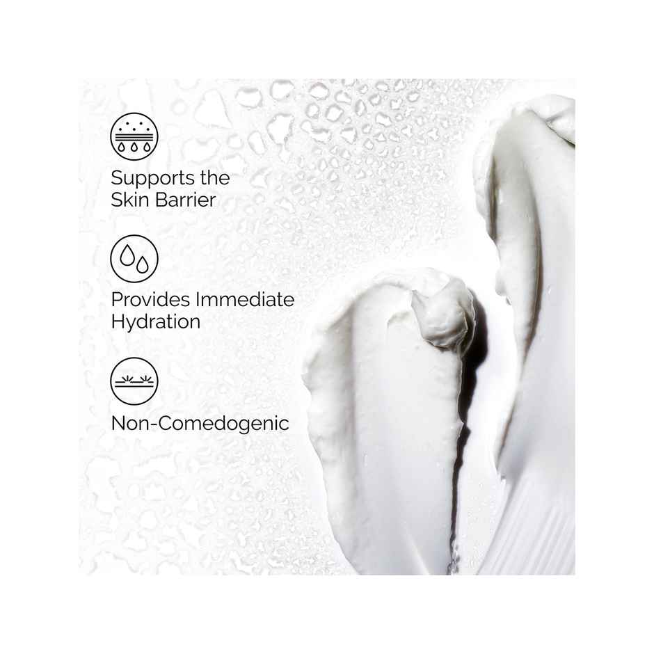 The Ordinary Natural Moisturizing Factors + HA