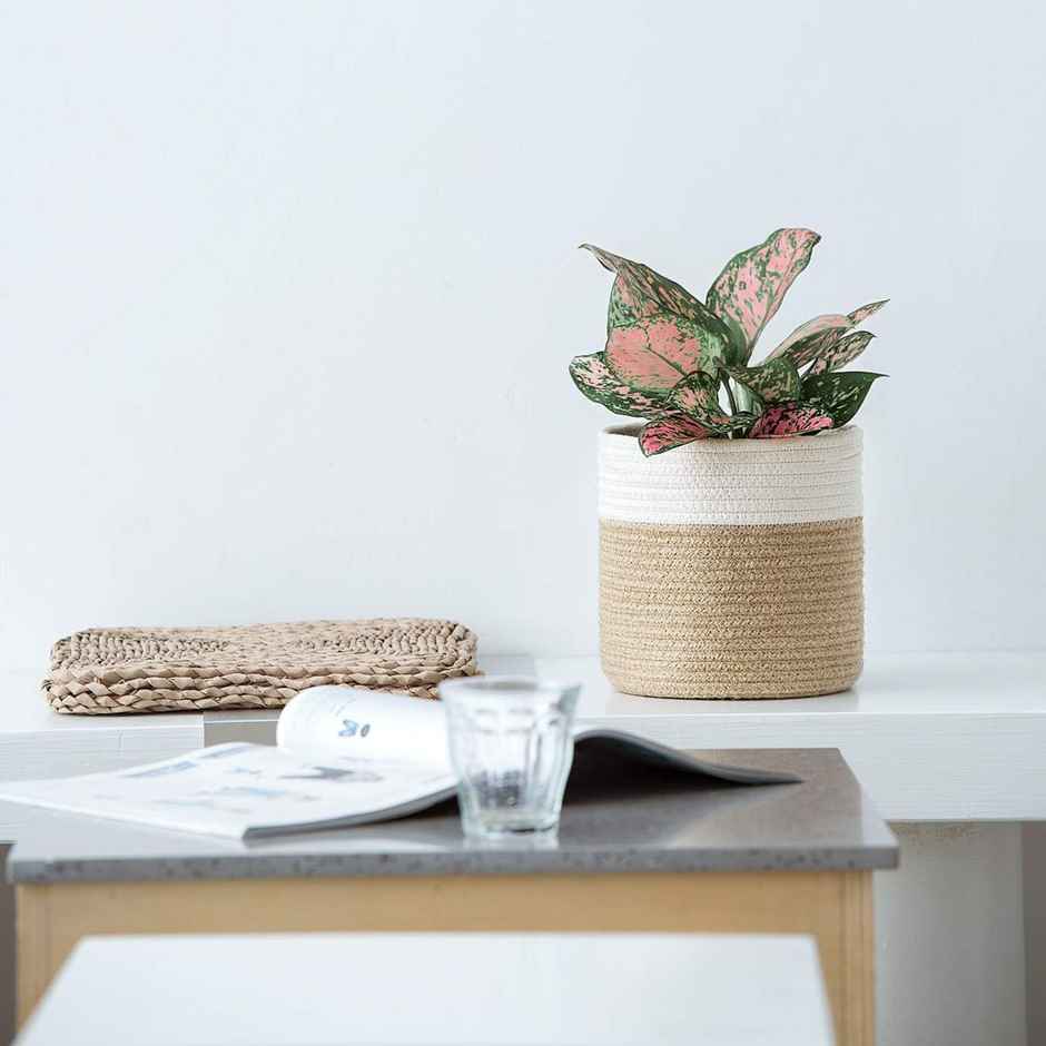 PrettyKrafts Jute Basket | Organizer for Toys, Clothes & Planter | White & Brown - 8 x 8 Inch