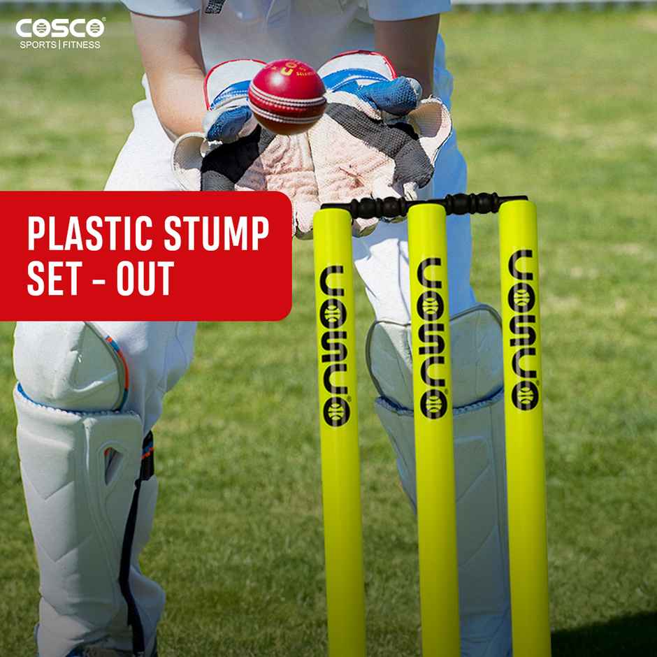 Cosco Plastic Stumps Set