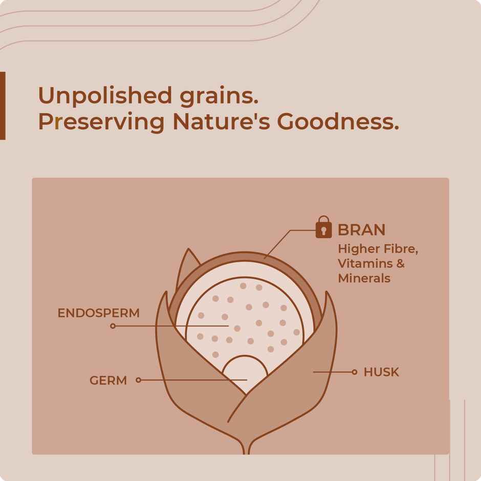 The Millet Company Millet Combo Pack Of 5 | Foxtail Kodo Barnyard Browntop And Little Millet