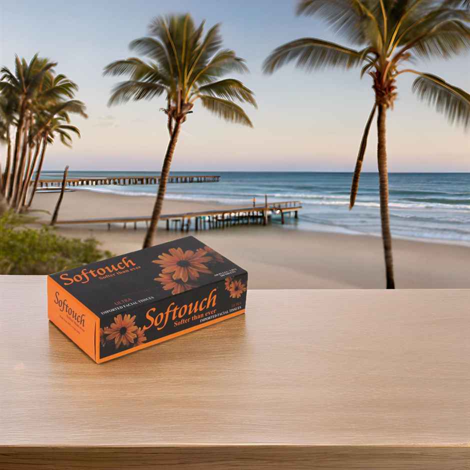 Softouch Face Tissue 100 Pulls 2 Ply 200 sheets