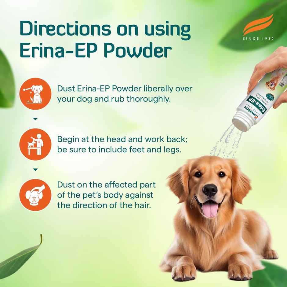 Himalaya Erina Ep Powder