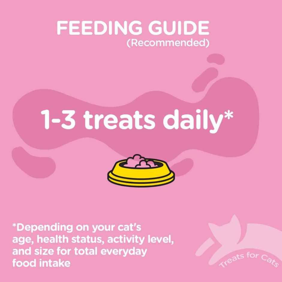 Rena Cataholic Chicken & Salmon Fish