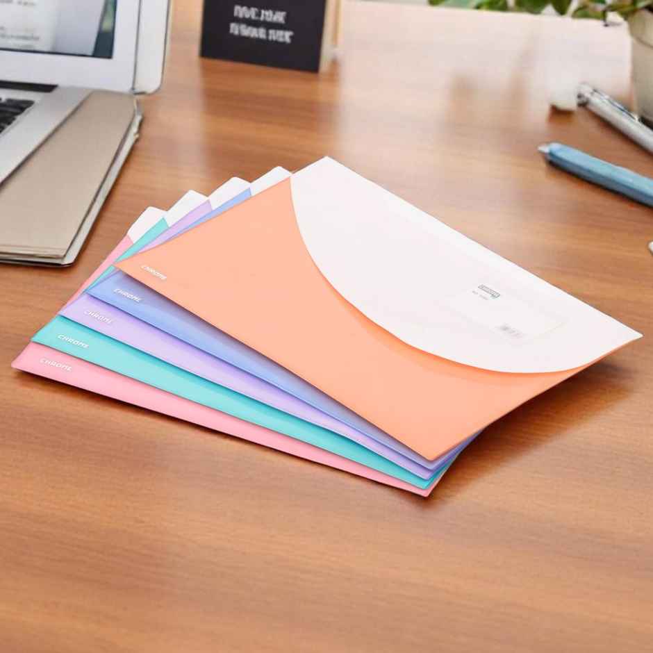 Chrome PP FC Document Bags with Front & Back Pockets (Colour May Vary)