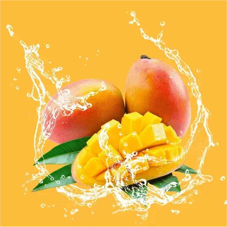 Mogu Mogu Mango Flavoured Drink with Nata de Coco