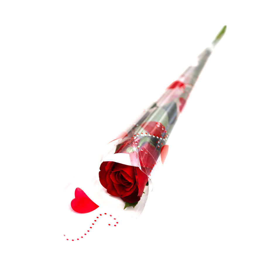 Valentine Special | Bloom Single Stem Rose