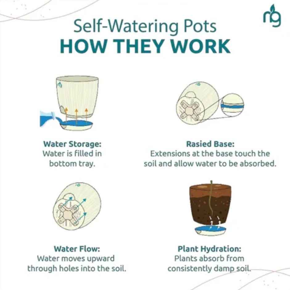 Nurturing Green - Self Watering Pots for Plants | Set of 10 | Ivory | Size: 9.5cm x 8.5cm