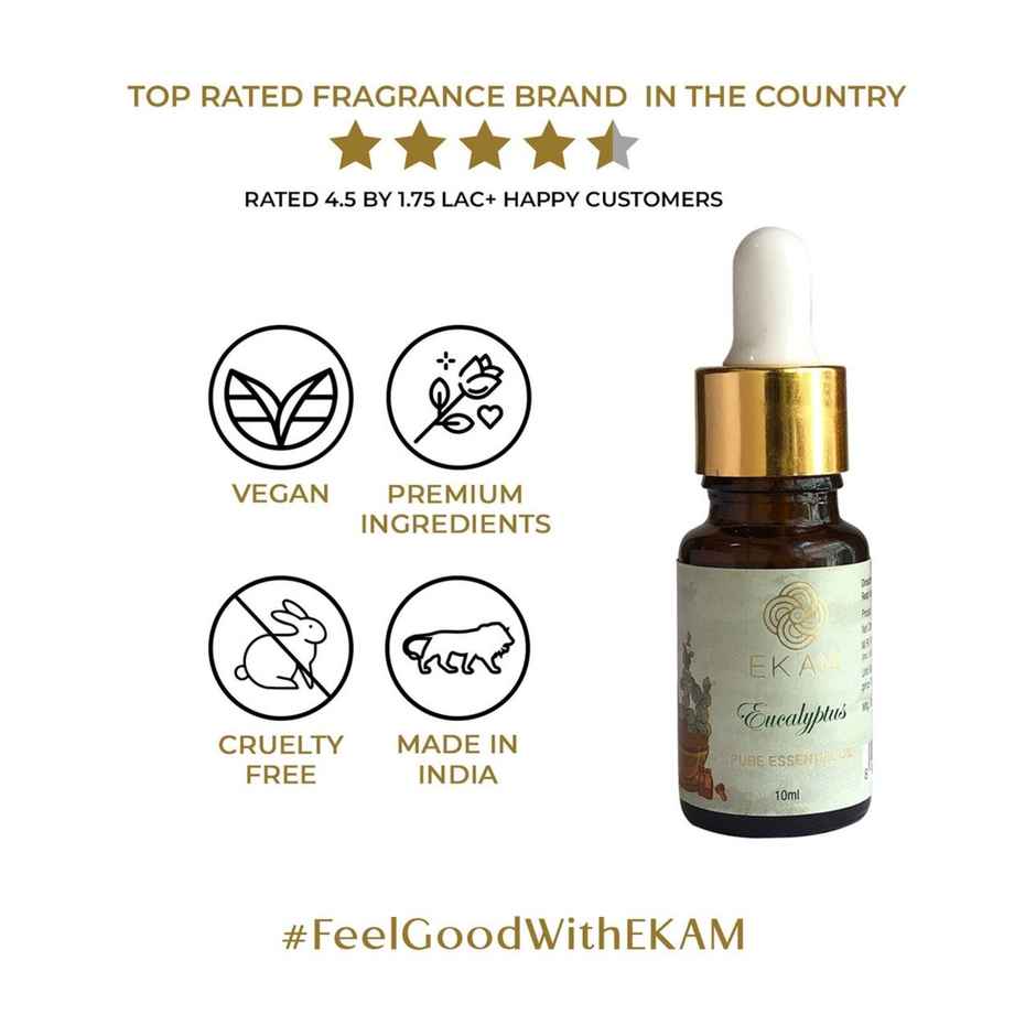 Ekam Eucalyptus Essential Oil | Refreshing Aroma