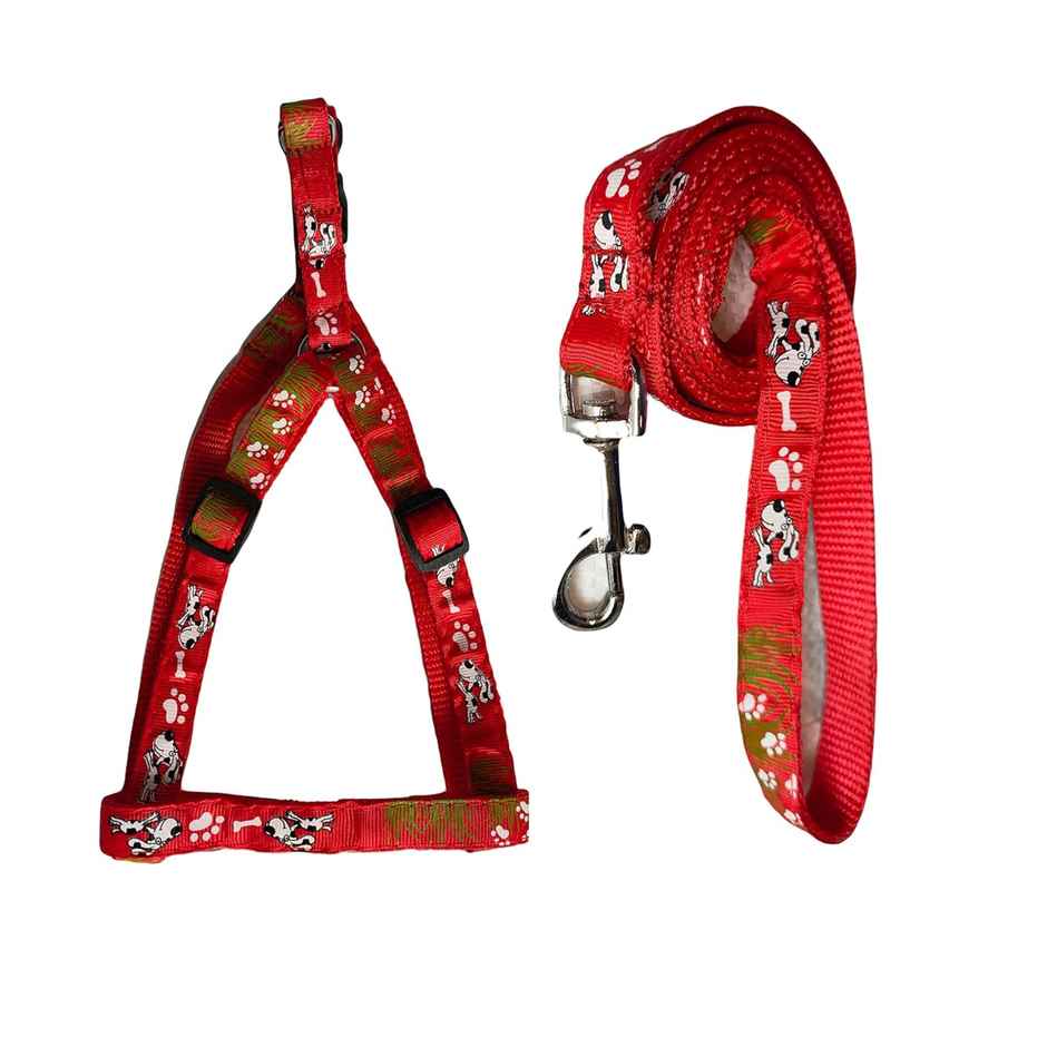 Nootie Premium Design Leash & Collar Set For Small Dogs/Puppies (Mix Color)