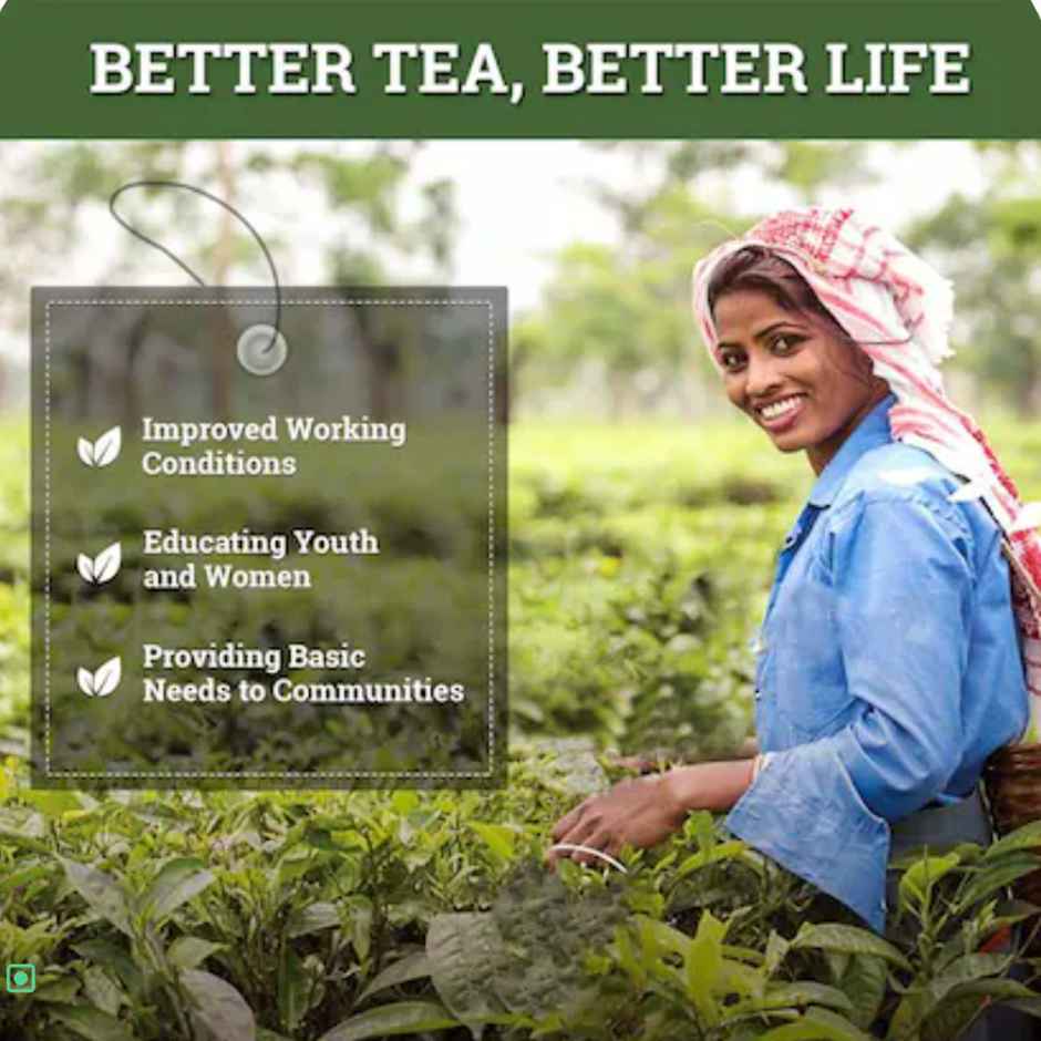 Twinings Ginger and Lemon Herbal Tea