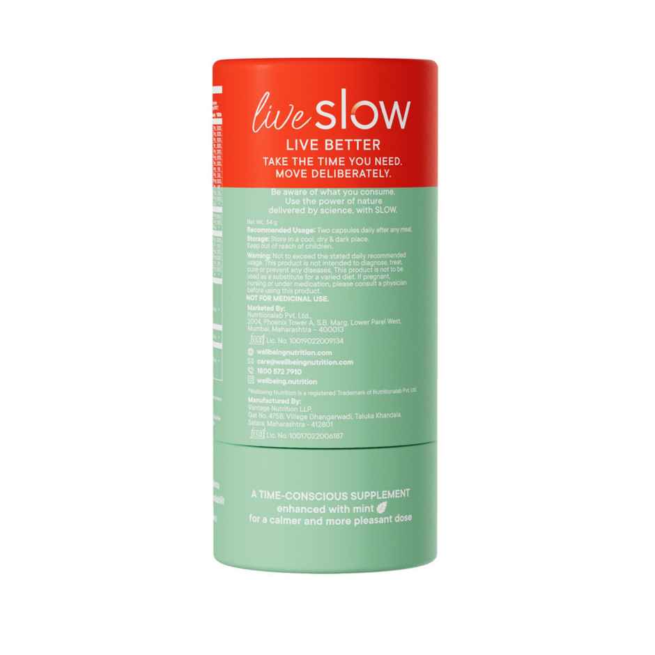 Wellbeing Nutrition Slow Multi + Omega 3 for Him Vitamins & Minerals, 15 Antioxidants & Digestive