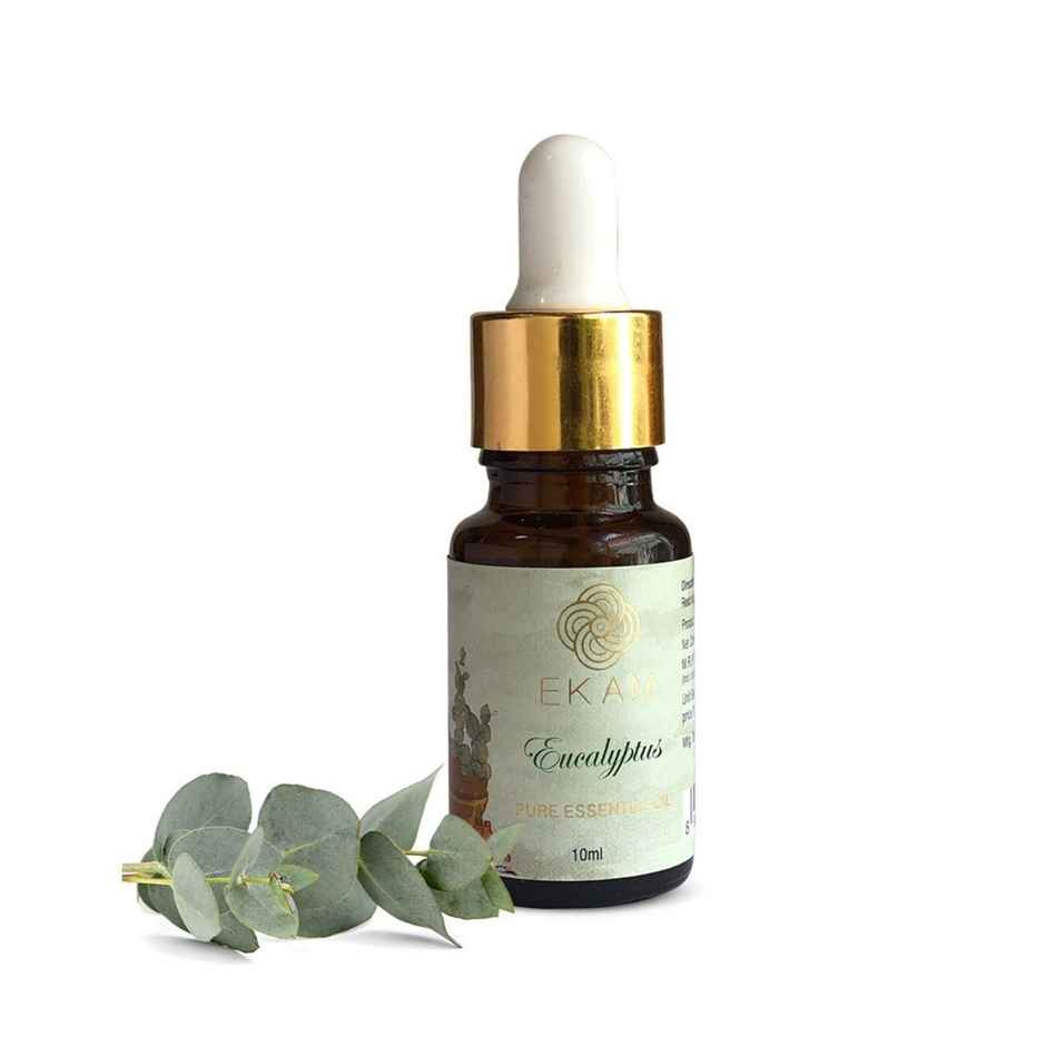EKAM Eucalyptus 100% Pure Essential Oil| Aromatherapy Oil| 10 ml | Breathing Support