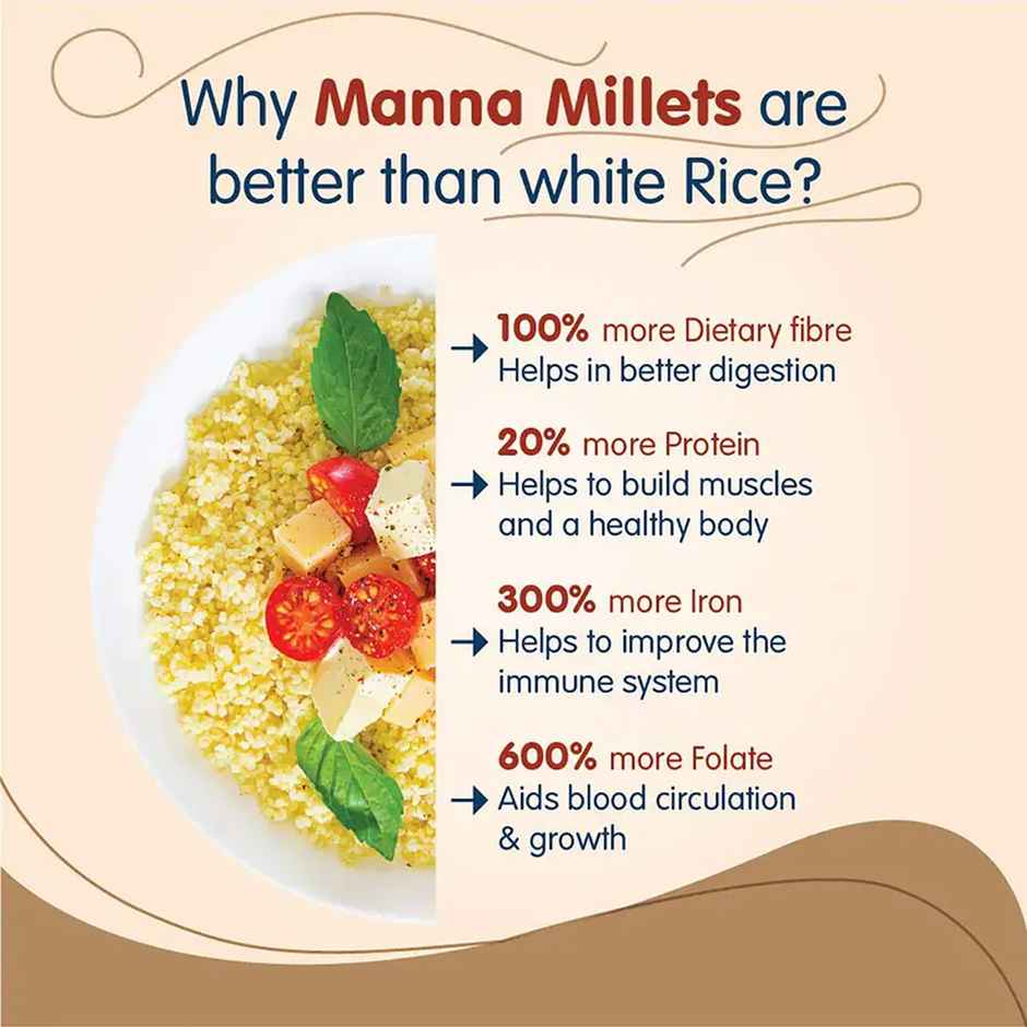 Manna Little Millet