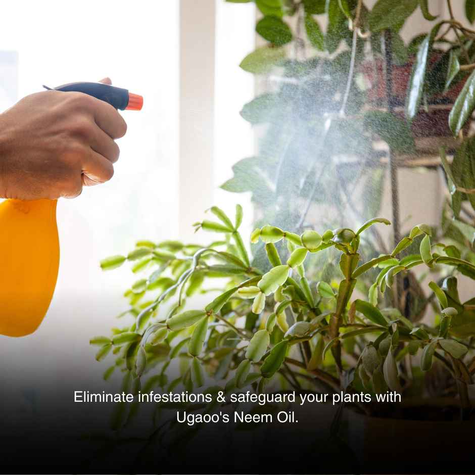 Ugaoo Neem Oil Spray For Plants & Garden-Highly Effective On Plant Insects Aquatic Plant Fertilizer