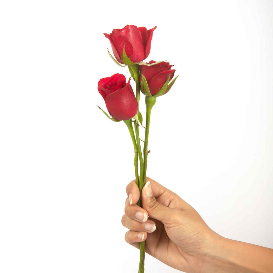 Hoovu Valentines Bunch Of 3 Roses(1pc) & Dearjoy Love Heart - Red | 30 Cm(1pc) Combo