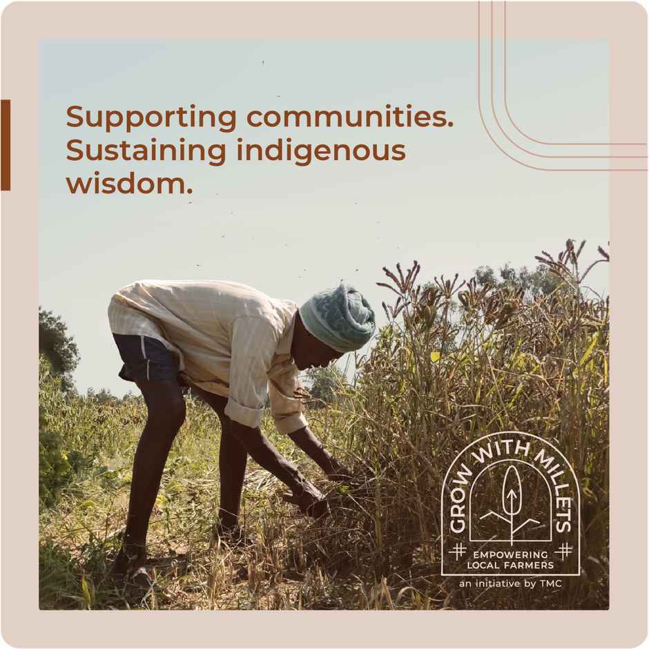 The Millet Company Millet Combo Pack Of 5 | Foxtail Kodo Barnyard Browntop And Little Millet