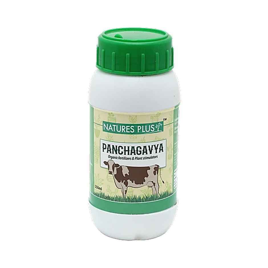 Nature'S Plus Panchagavya