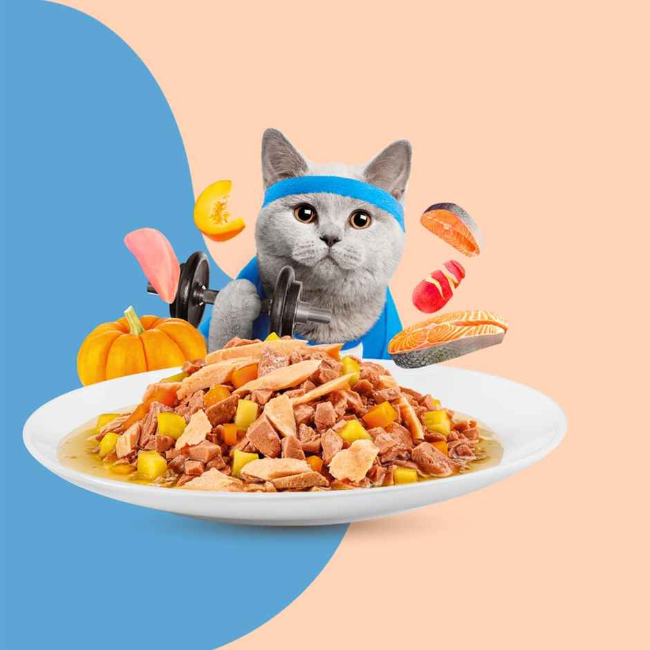 Moochie Cat Wet Food - Weight Control - Mince With Salmon Gravy | Grain-Free & No Preservative
