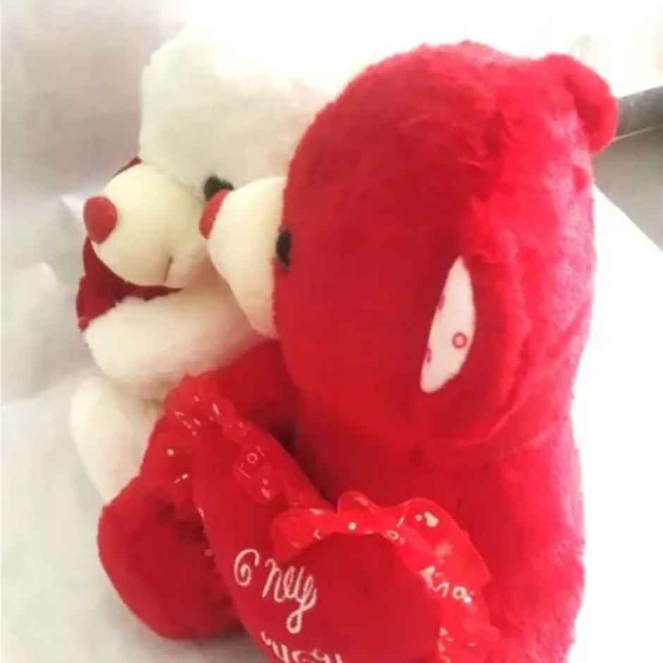 Sterling Loving Teddy Set (6411) - Assorted Colour & Design