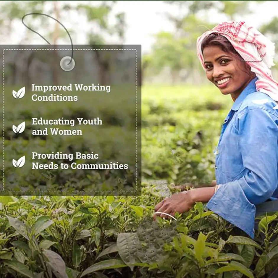 Twinings Pure Chamomile Herbal Tea