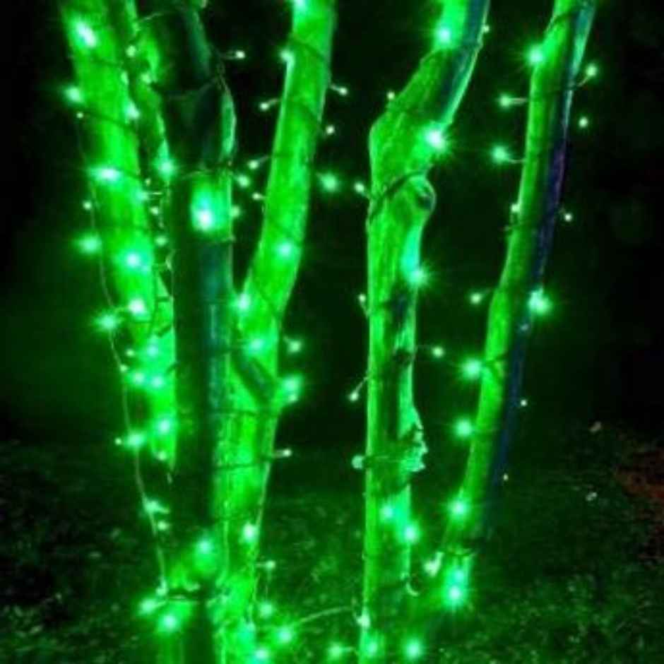 Quace 12M Green String Light Combo 