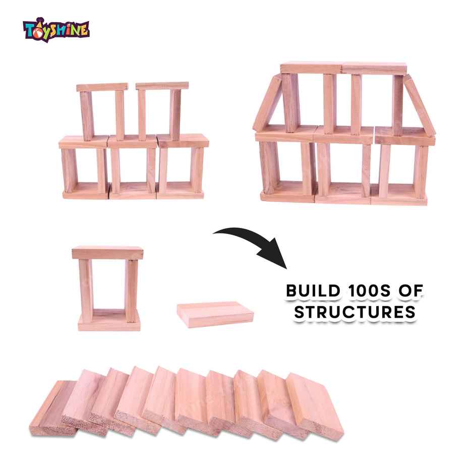 Toyshine 40-Piece Wooden Domino Blocks, Stacking & Racing Game for Kids