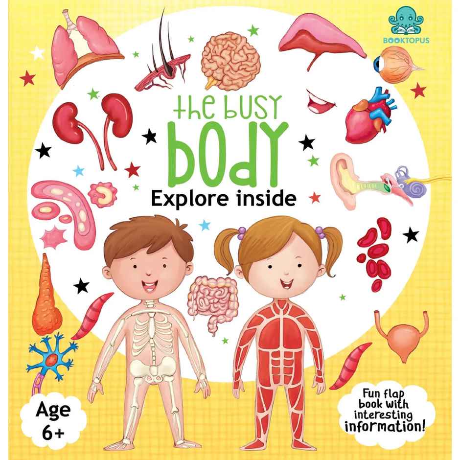 Lift a Flap Inside Our Body