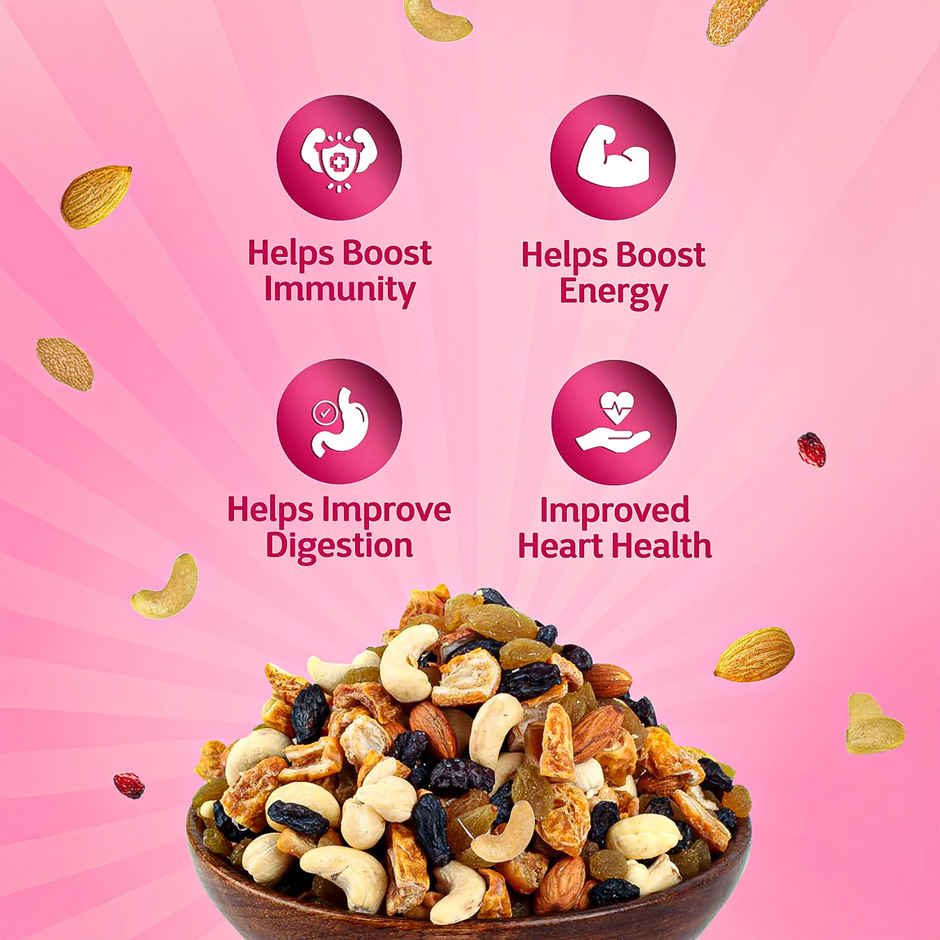 True Elements Premium Dry Fruits Mix Panchmeva Superfood