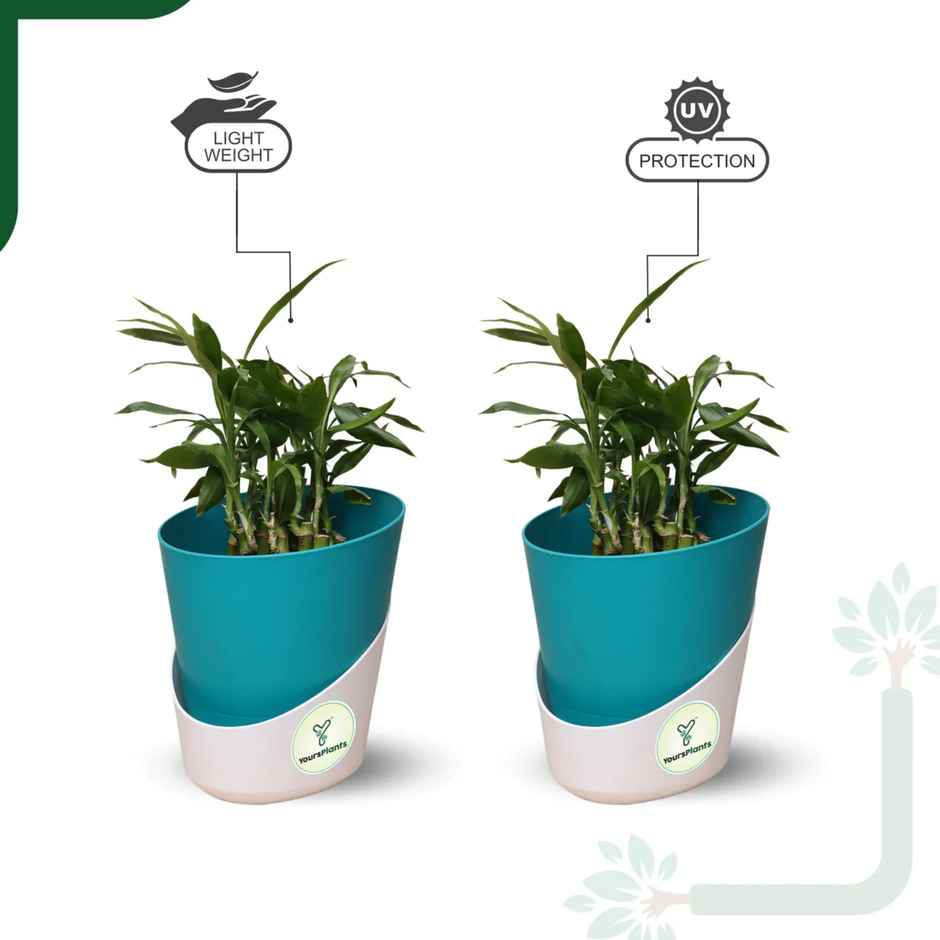 Yoursplants Atlantis - 4 Inch Teal Pot | Pack Of 2
