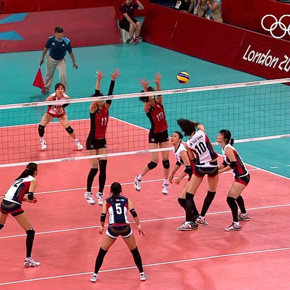 Mittal Sports Volleyball