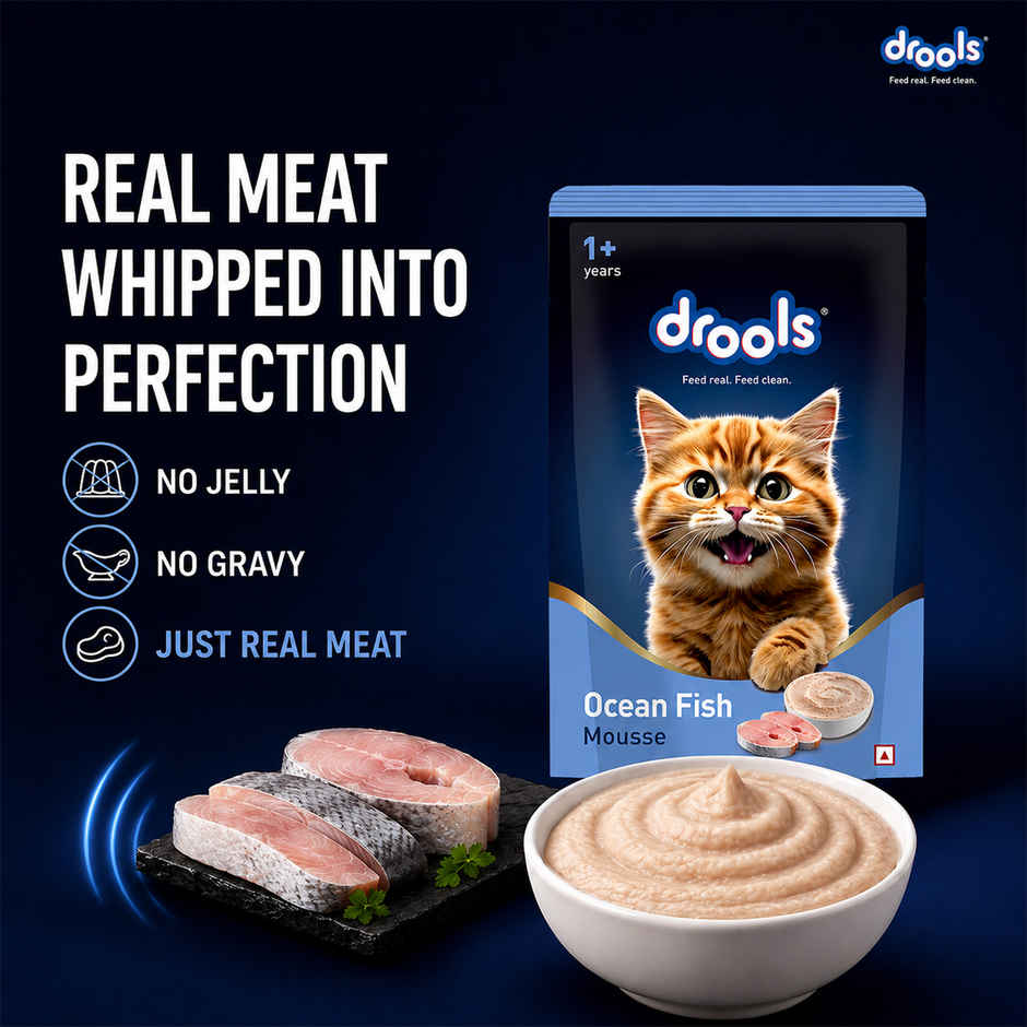 Drools Ocean Fish Mousse Adult Cat Wet Food, 80g (4+1 Free Pack)