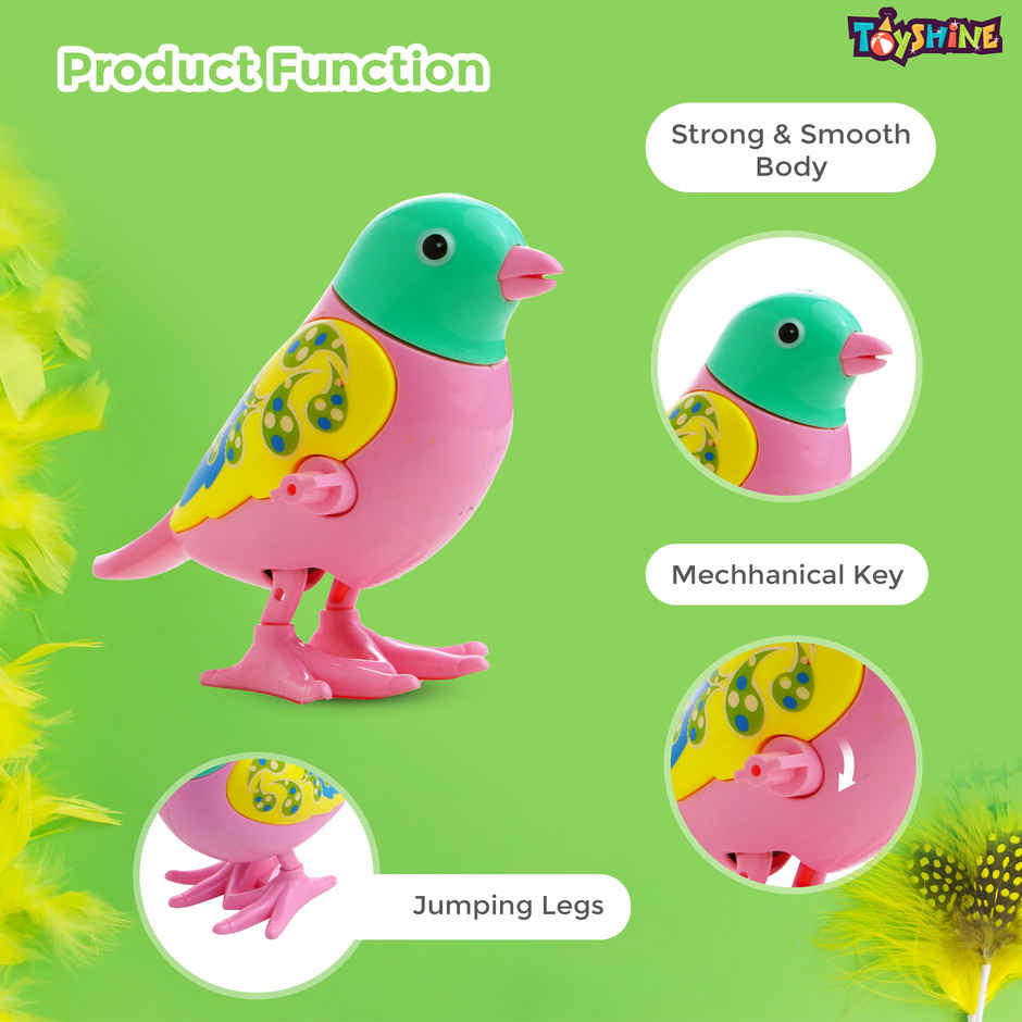 Toyshine Press & Go Wind Up Animal Toys Educational Sensory Fun for Toddlers