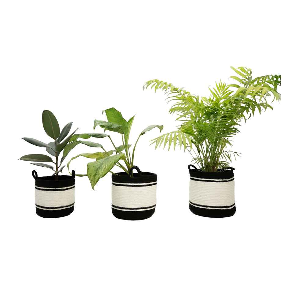 PrettyKrafts Jute Basket | Black & White | Multipurpose for Toys, Plants, Laundry