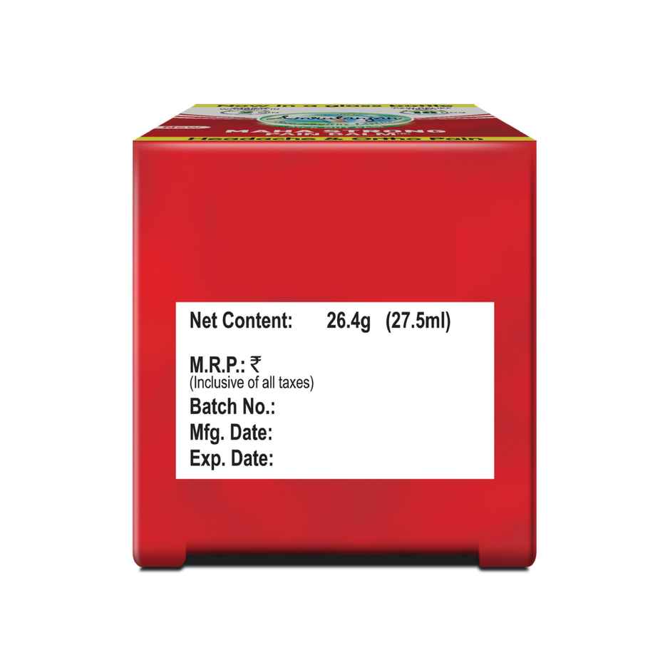 Amrutanjan Maha Strong Pain Balm