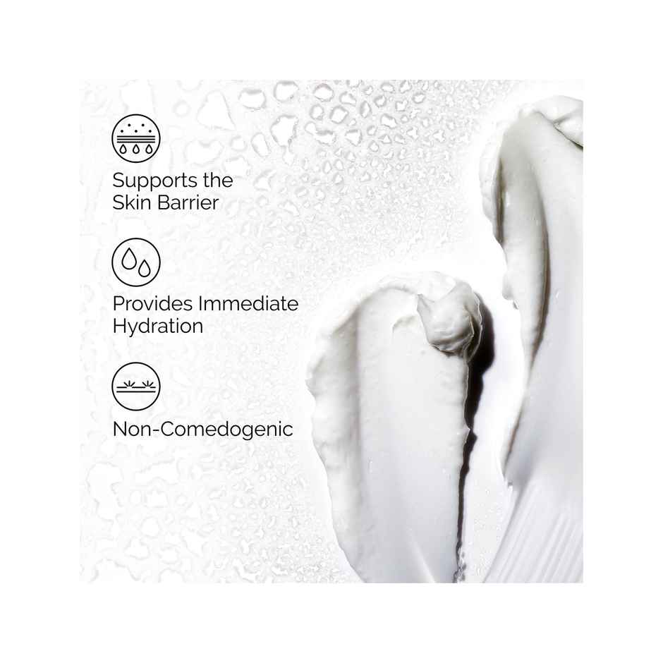 The Ordinary Natural Moisturizing Factors + HA