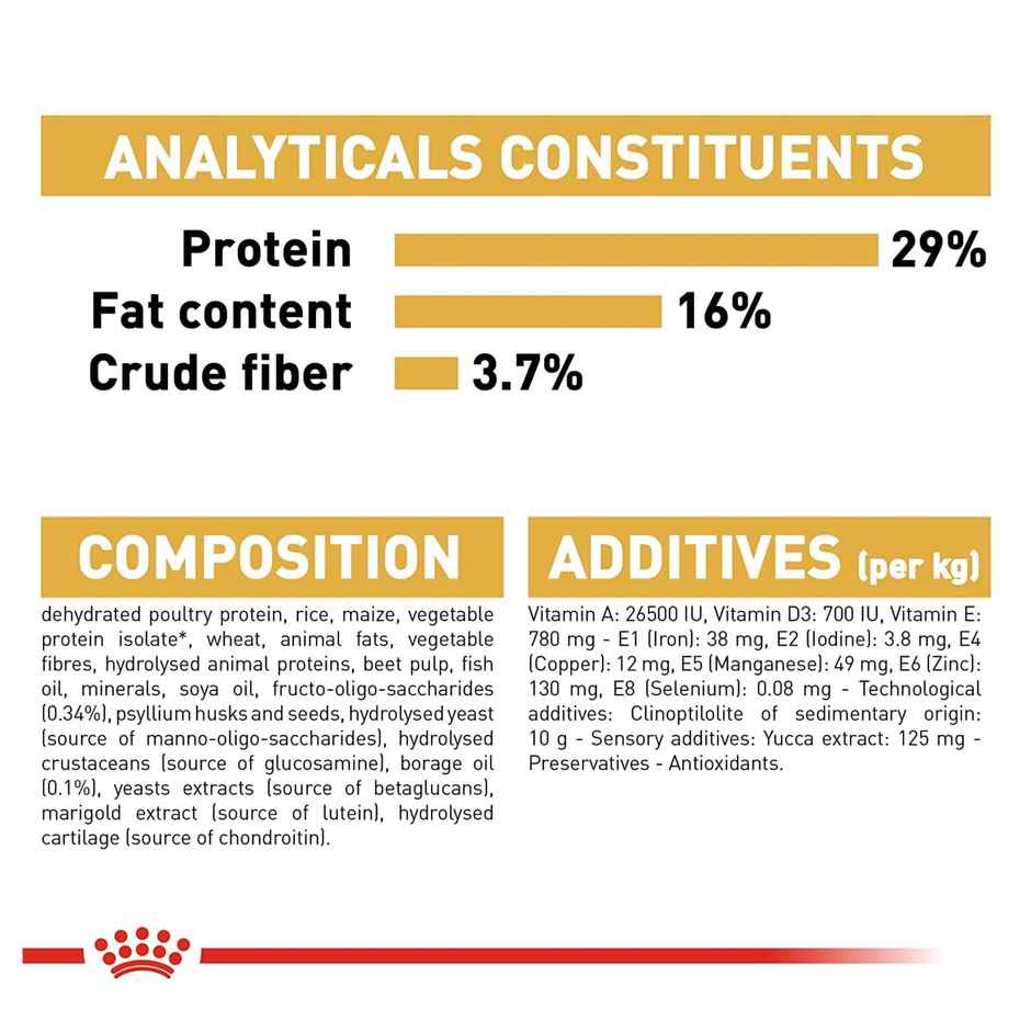 Royal Canin Golden Retriever Puppy