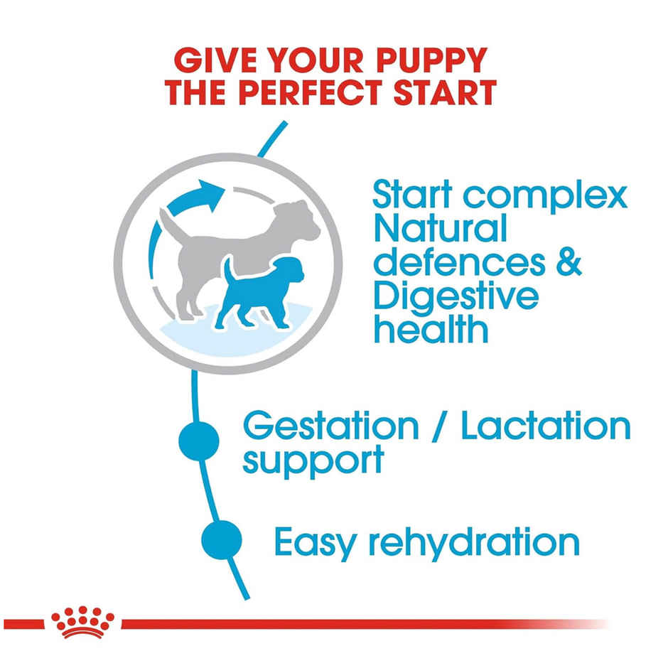 Royal Canin Mini Starter