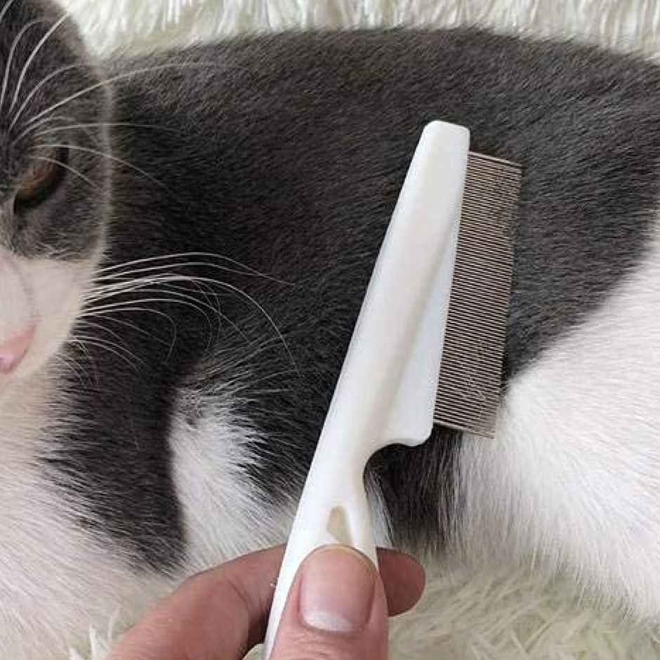 Nootie Flea Comb (Multi Color)