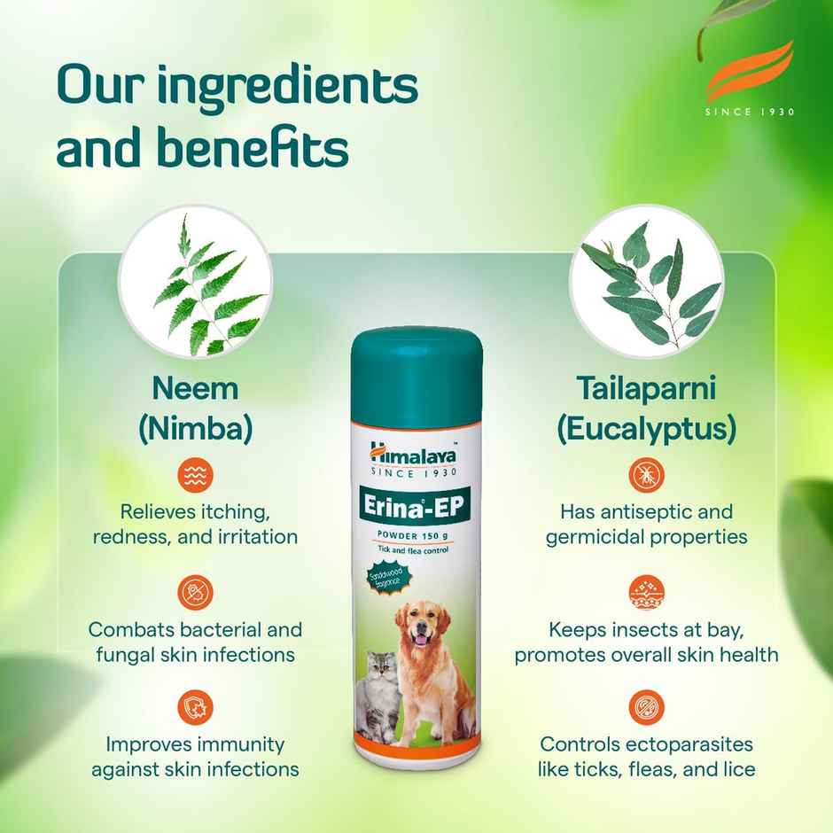 Himalaya Erina Ep Powder