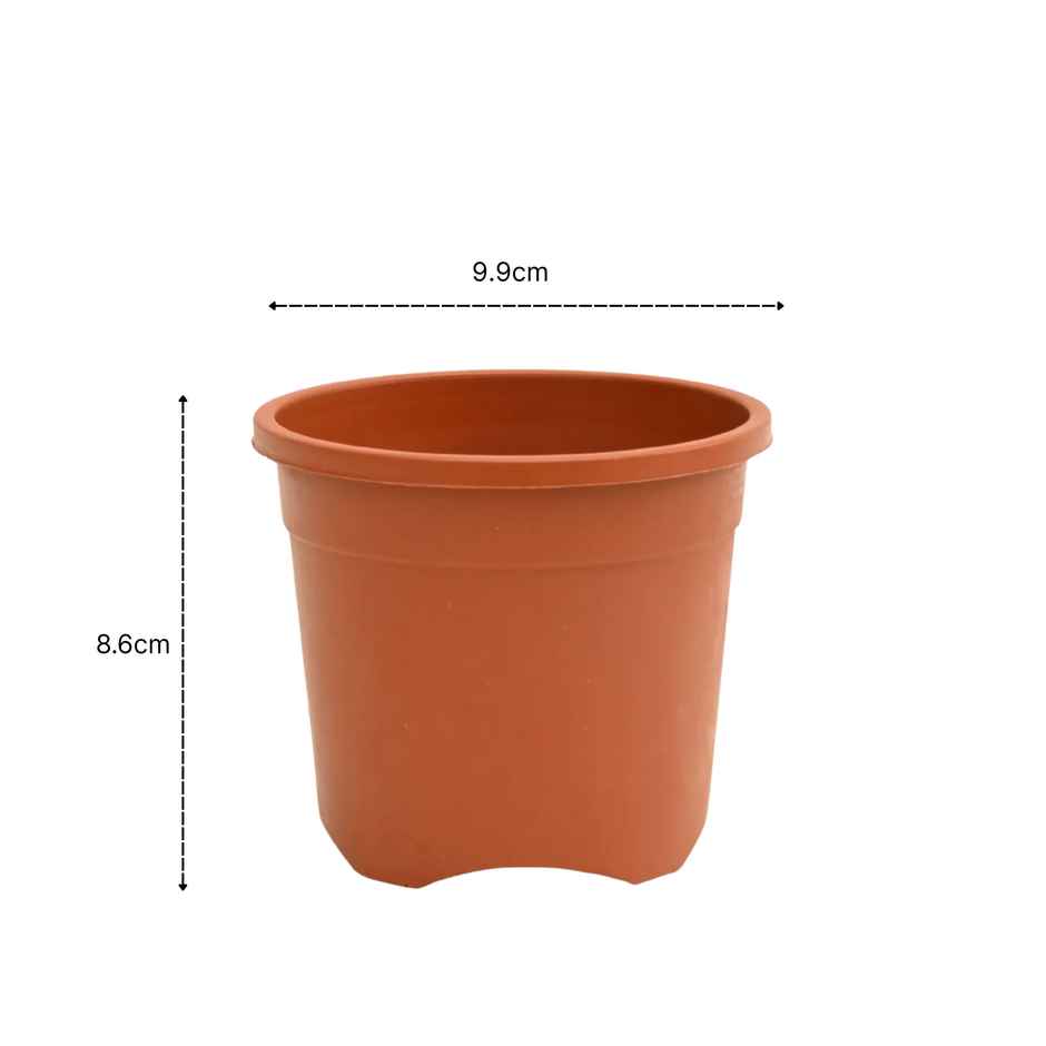 Ugaoo Gardening Plastic Pots For Plants (4 Inch Brown Color Set Of 6 ) Plant Container Set