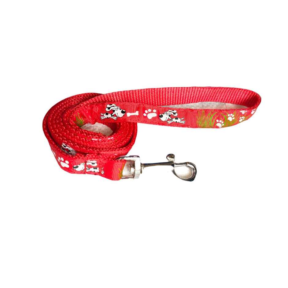 Nootie Premium Design Leash & Collar Set For Small Dogs/Puppies (Mix Color)