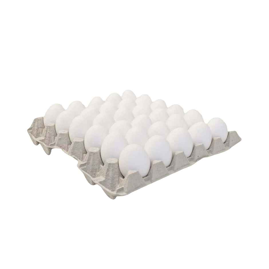 Arora White Eggs