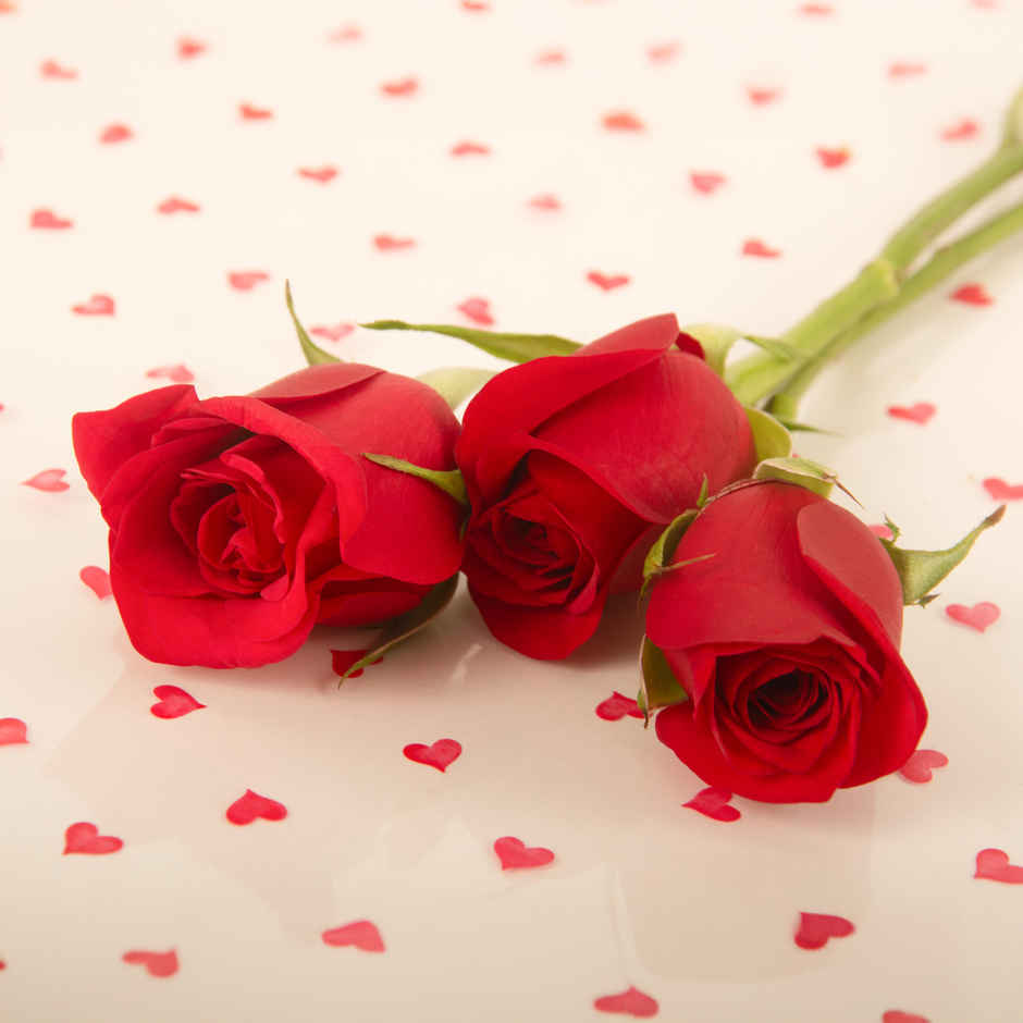 Hoovu Valentines Bunch Of 3 Roses(1pc) & Dearjoy Love Heart - Red | 30 Cm(1pc) Combo