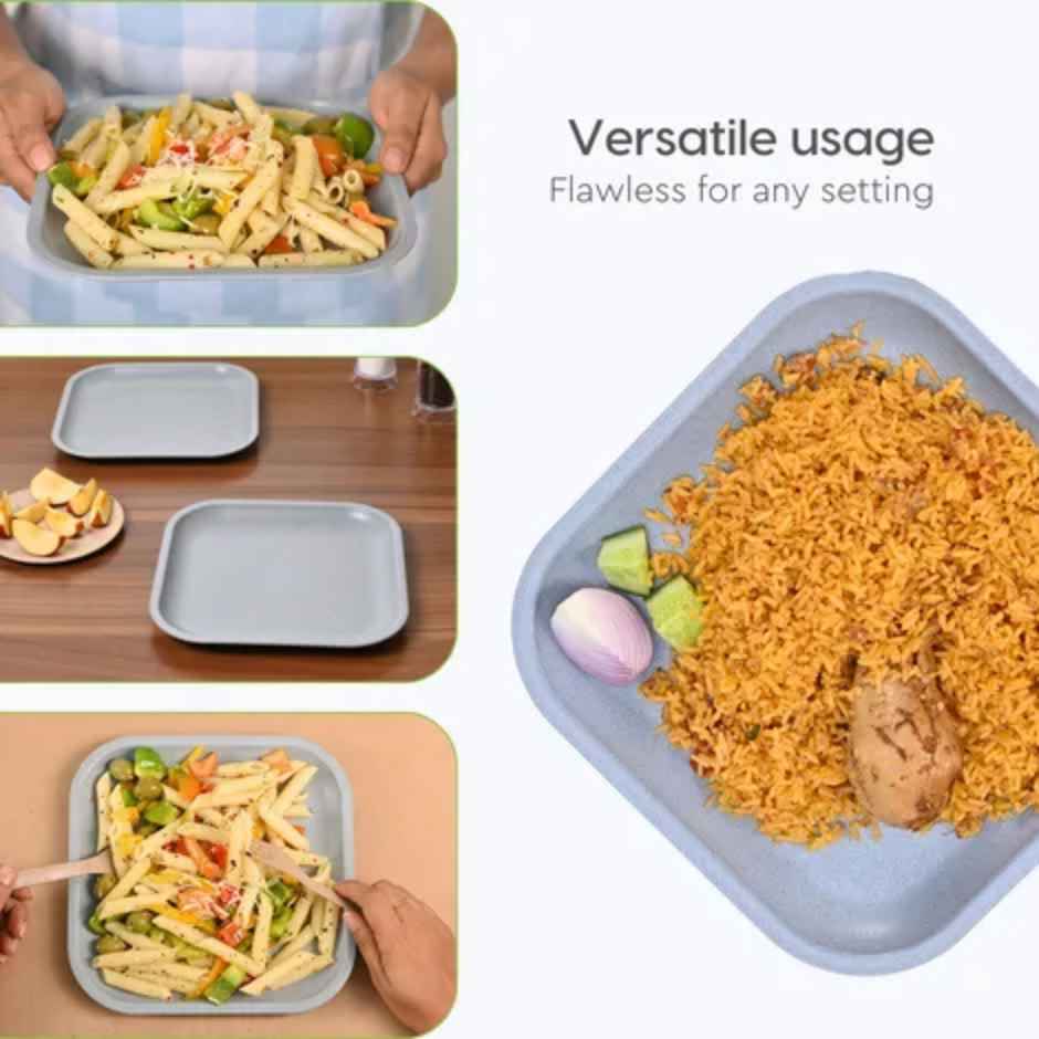 Eha Earth Friendly Snack Plate | 8", 4 pcs, Multi-light | Made with Rice Husk Biocomposite