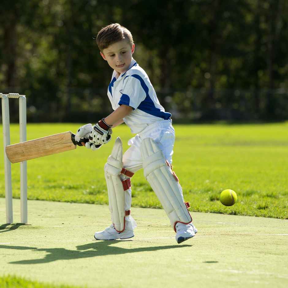 Vector X Slazenger Championship Tennis Balls Standard Size 1 Can 3 Balls | Yellow Pack Of 3