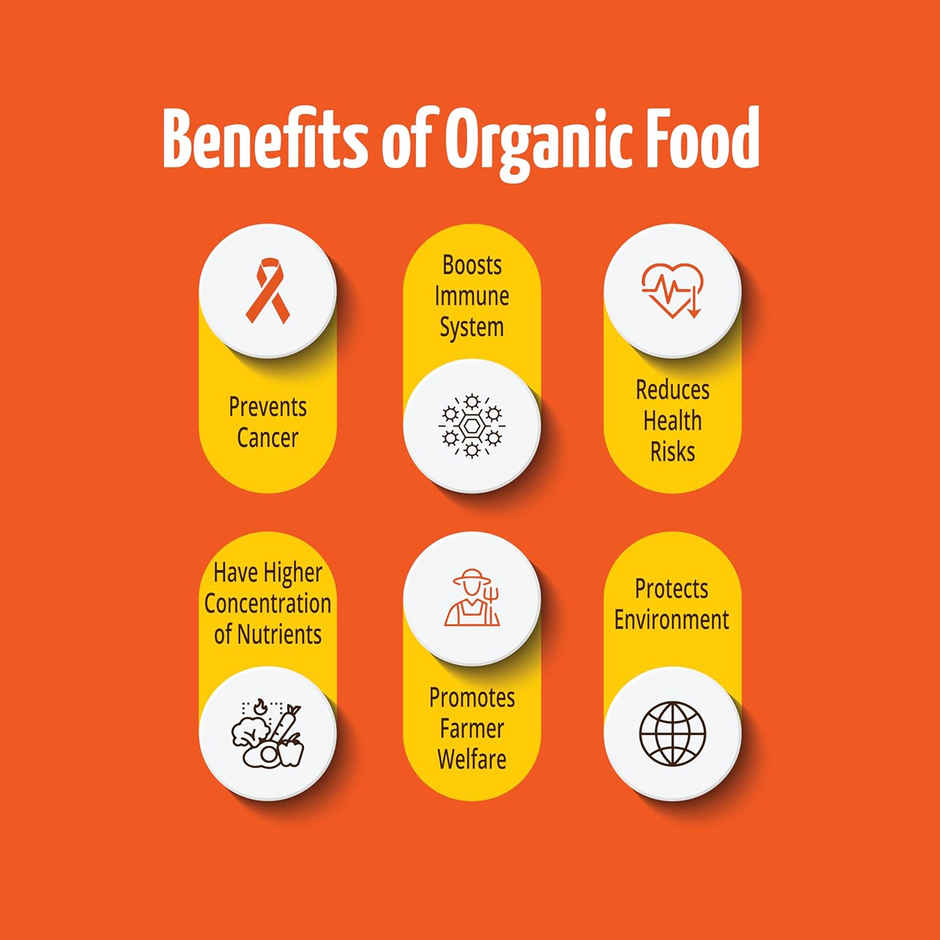 Pro Nature Organic Besan