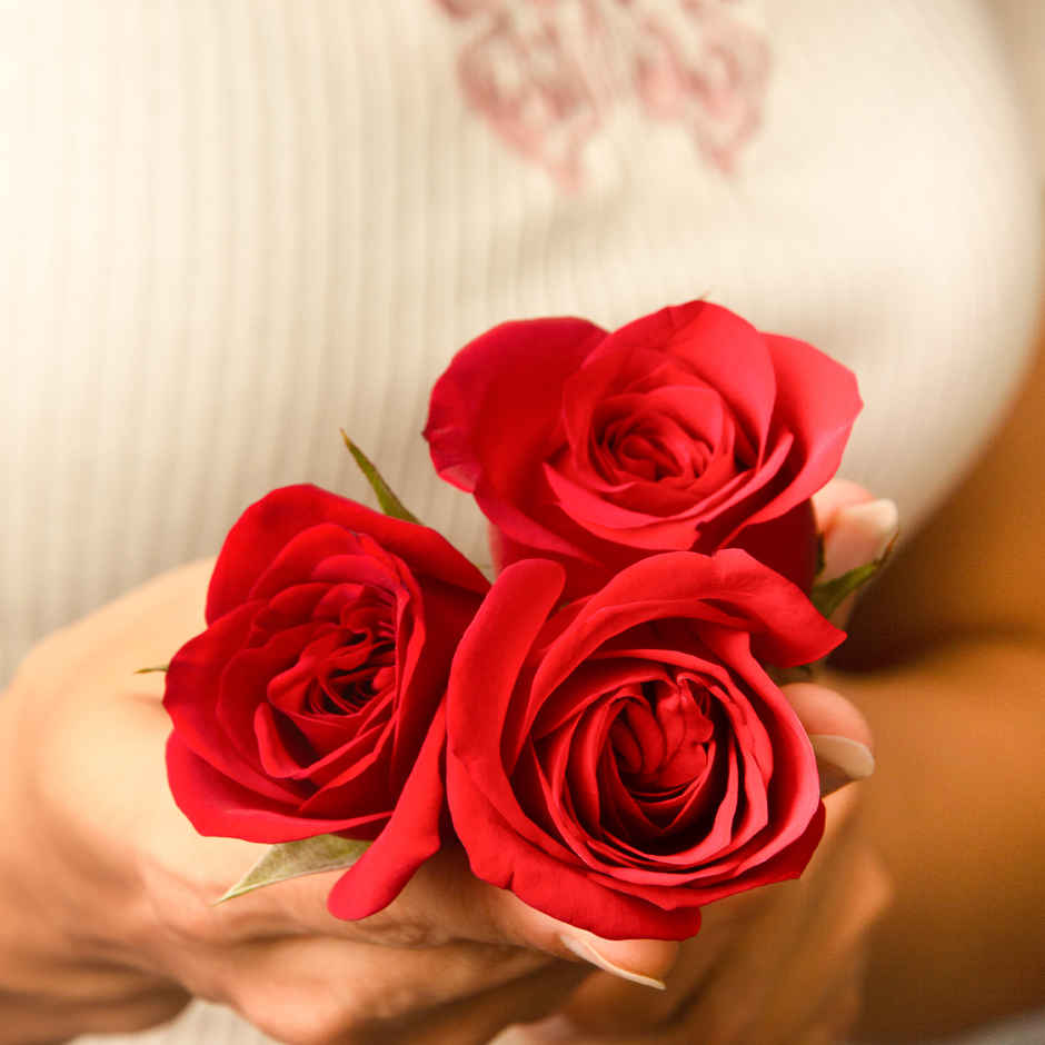 Hoovu Valentines Bunch Of 3 Roses(1pc) & Dearjoy Love Heart - Red | 30 Cm(1pc) Combo