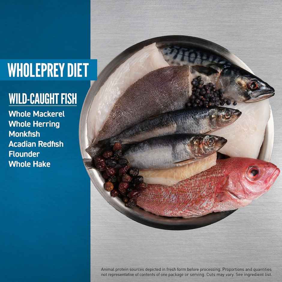 Orijen Six Fish Adult Dog Food