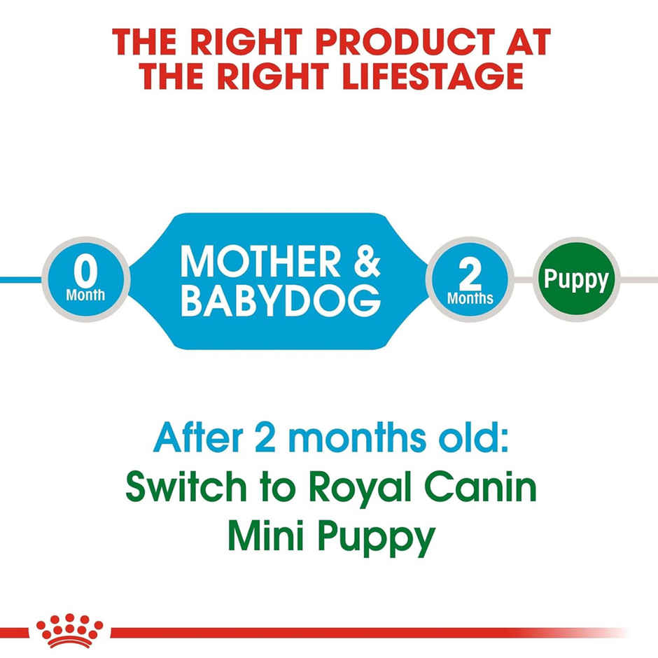 Royal Canin Mini Starter